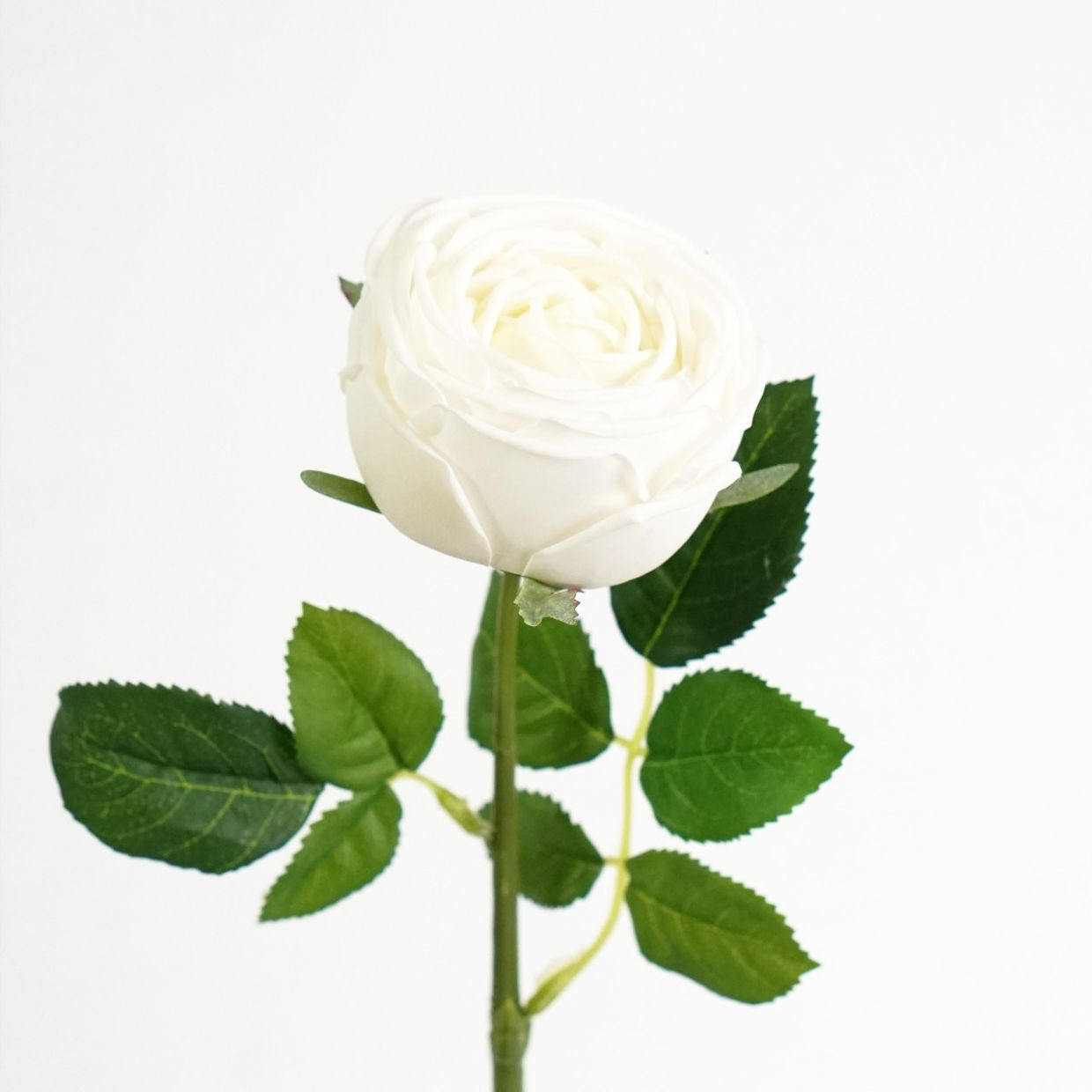 Bridal Garden Rose Stem (White) Natural Touch 43cm